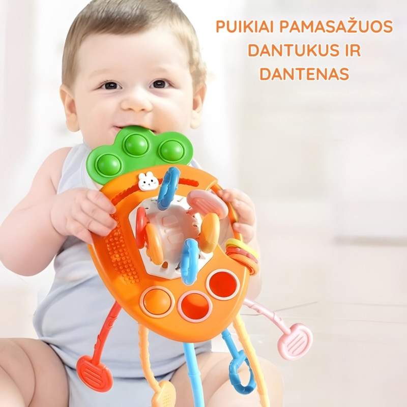 Barškutis - kramtukas "Morkytė"