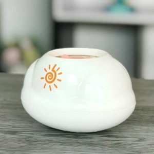 Plūduriuojantis vandens žaislas "Tigras"