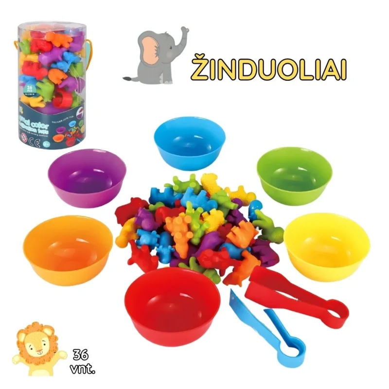 Edukacinis rūšiavimo rinkinys