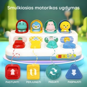 Interaktyvus lavinamasis žaislas "Pop up"