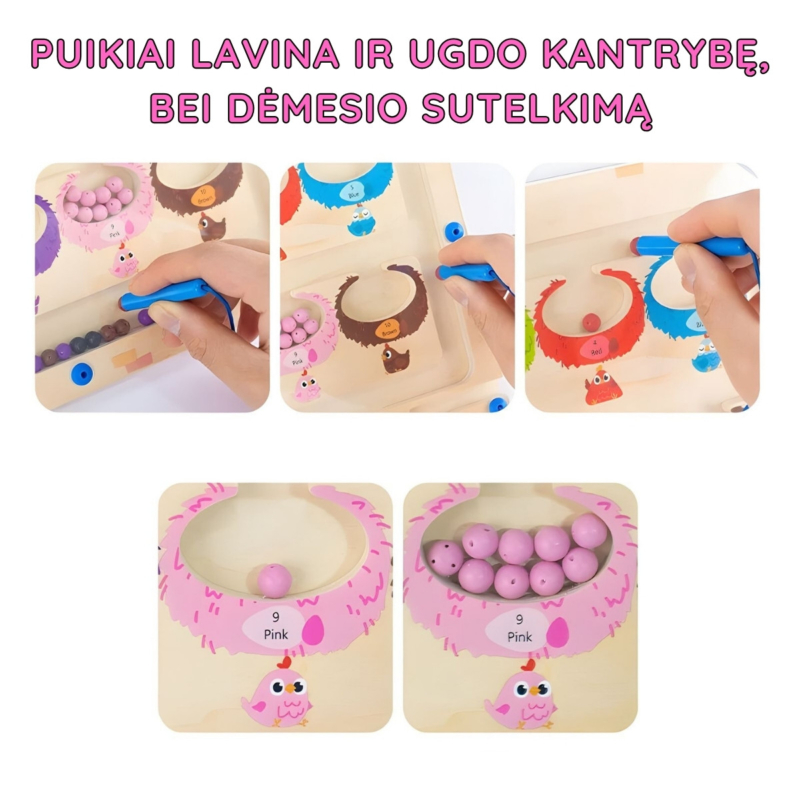Dvipusė Montessori magnetinė rūšiavimo lenta
