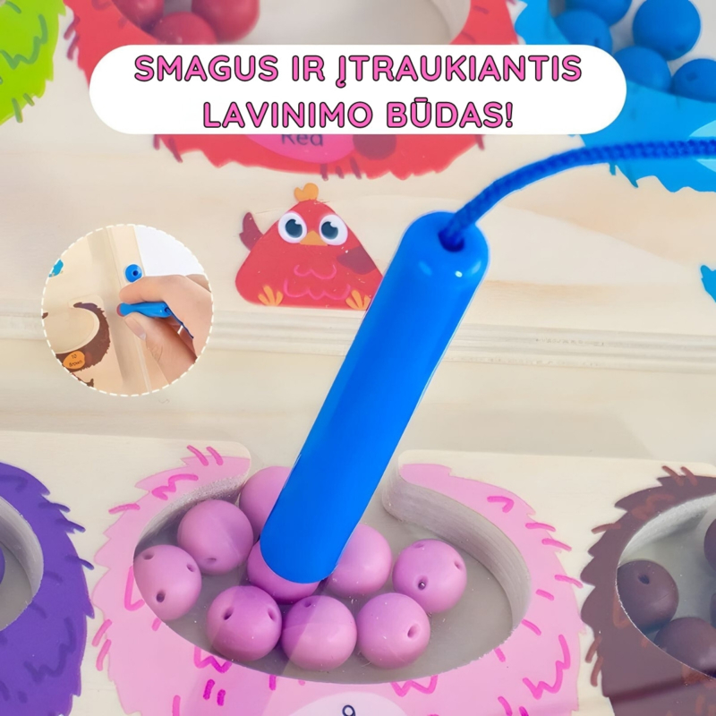Dvipusė Montessori magnetinė rūšiavimo lenta