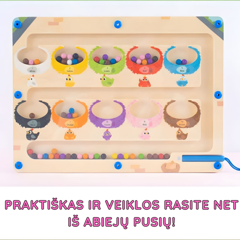 Dvipusė Montessori magnetinė rūšiavimo lenta