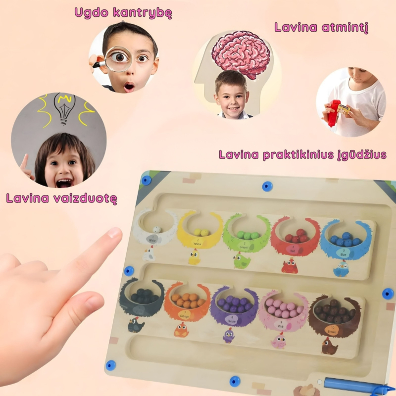 Dvipusė Montessori magnetinė rūšiavimo lenta
