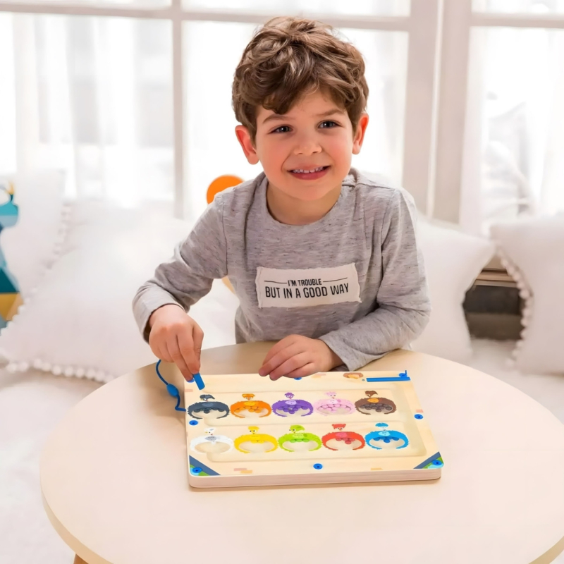 Dvipusė Montessori magnetinė rūšiavimo lenta