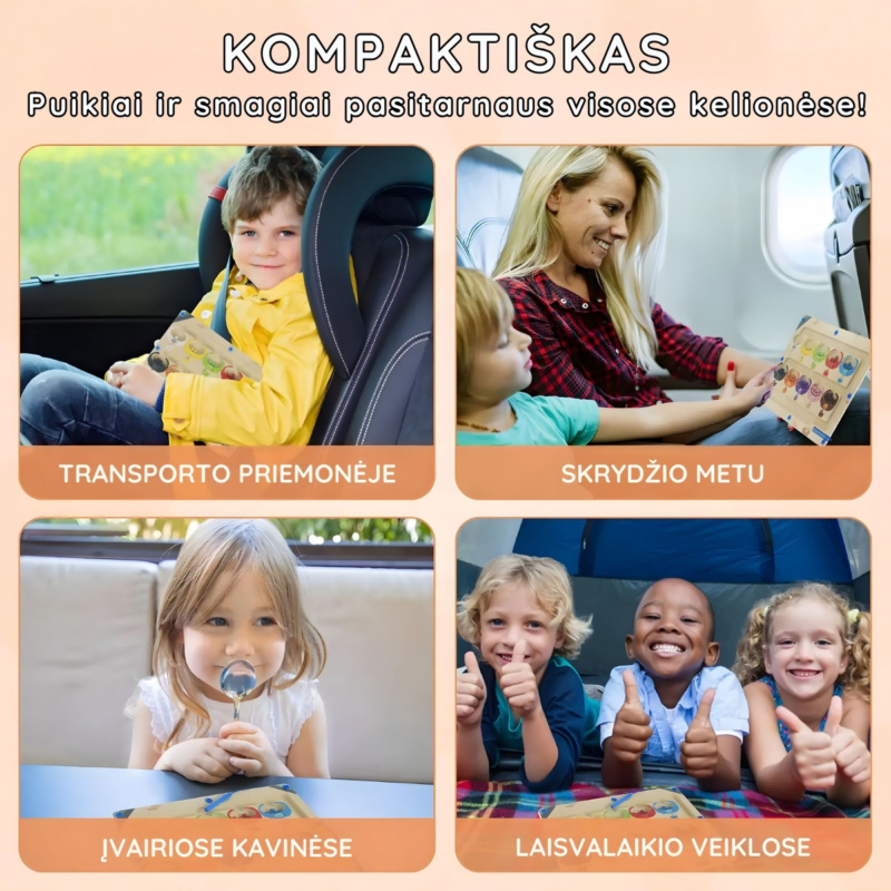 Dvipusė Montessori magnetinė rūšiavimo lenta