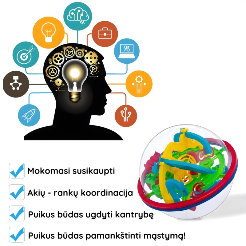 Žaislinis labirintų gaublys vaikams "Brain game"