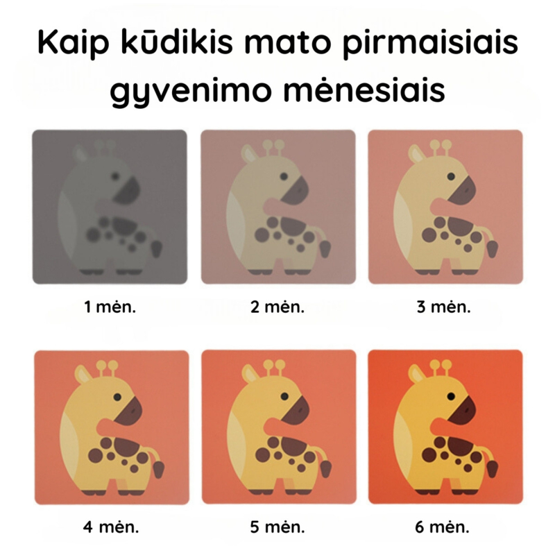 Kontrastinės kortelės kūdikiui 3-6 mėn.