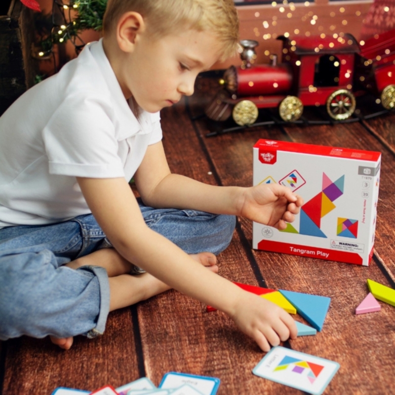 Tooky Toy spalvota geometrinė dėlionė - puzlė