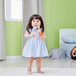 Classic World medinis švilpukas