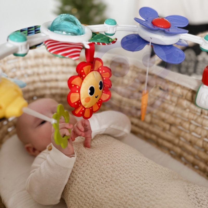 Pakabinamas žaislinis lankas kūdikiams "Gamta" – Woopie Baby