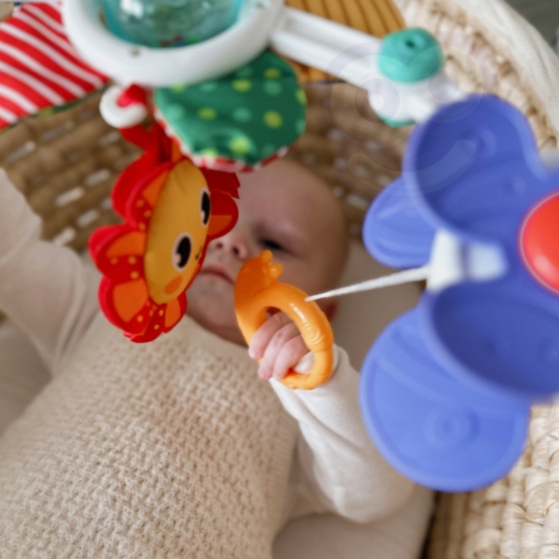 Pakabinamas žaislinis lankas kūdikiams "Gamta" – Woopie Baby