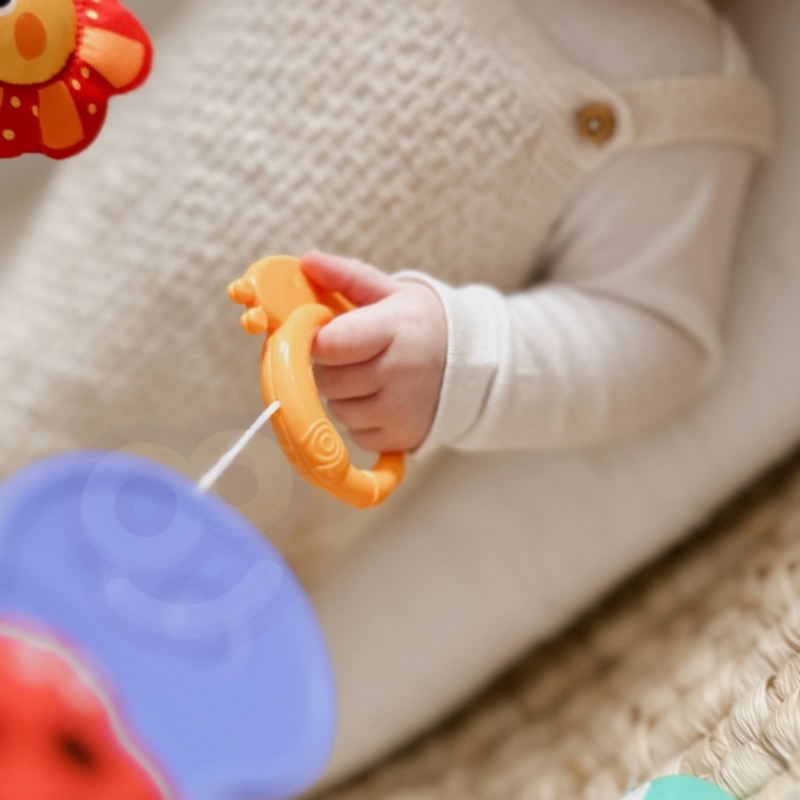 Pakabinamas žaislinis lankas kūdikiams "Gamta" – Woopie Baby