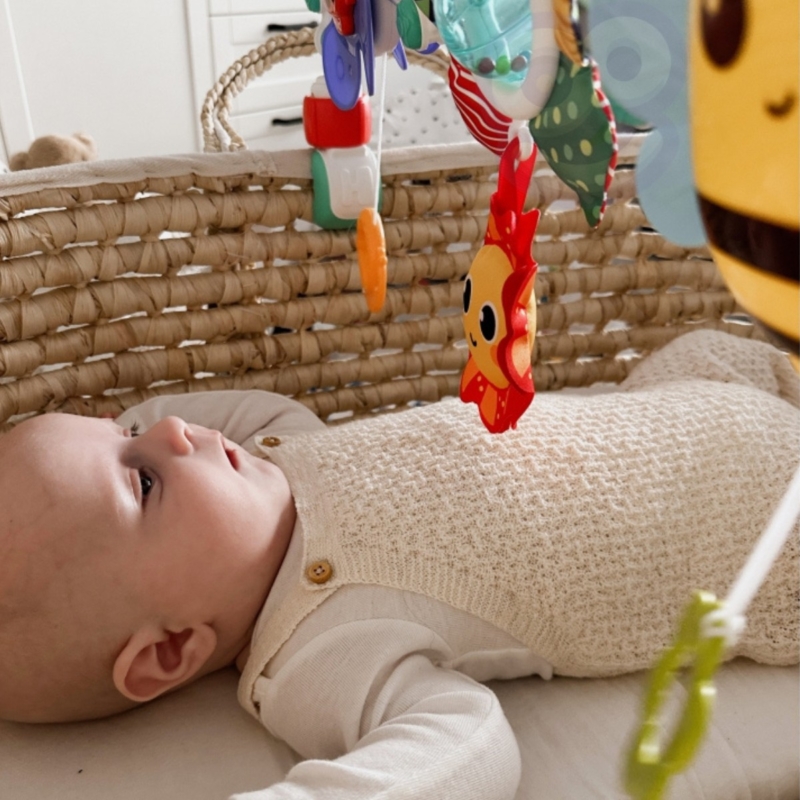 Pakabinamas žaislinis lankas kūdikiams "Gamta" – Woopie Baby
