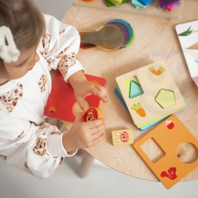 Tooky Toy XXL Montessori edukacinis 6in1 sensorinis rinkinys 25+ mėn.