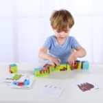 Montessori kaladėlių dėlionė su kortelėmis