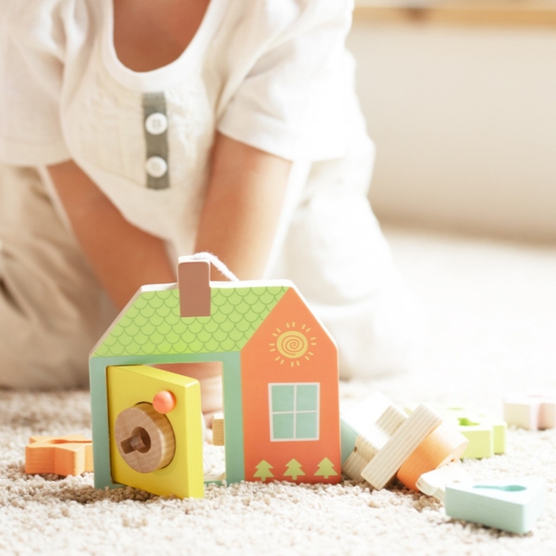 Montessori medinis namelis vaikams „Atrakink spyną“