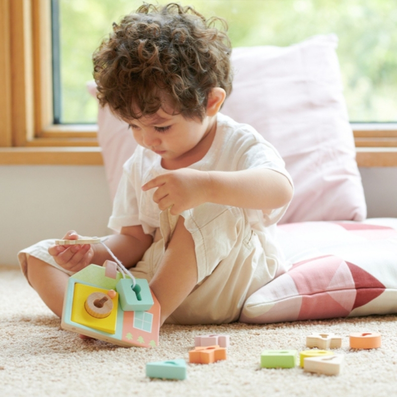 Montessori medinis namelis vaikams „Atrakink spyną“