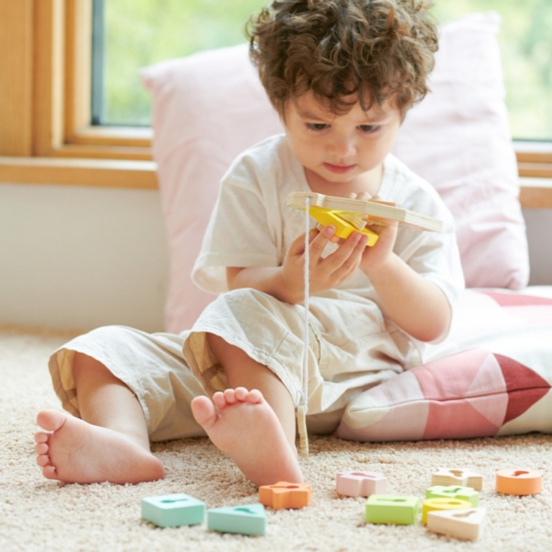 Montessori medinis namelis vaikams „Atrakink spyną“