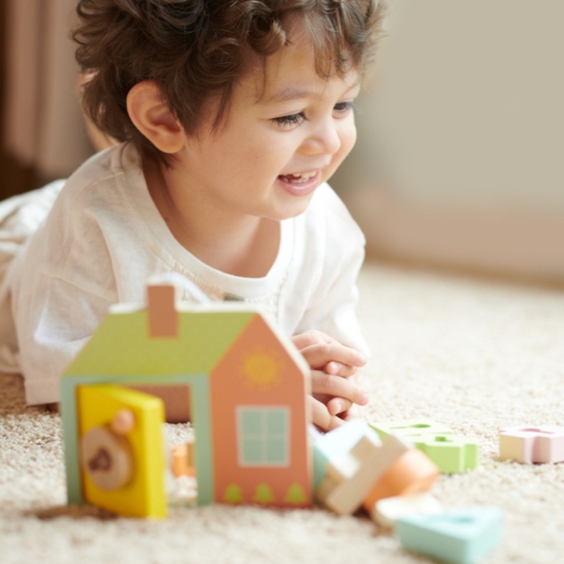 Montessori medinis namelis vaikams „Atrakink spyną“