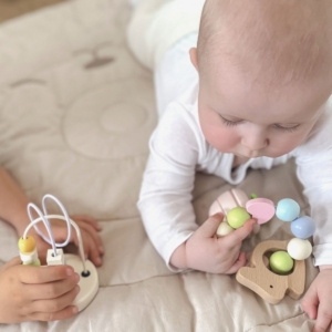 Medinių žaislų rinkinys kūdikiams nuo gimimo – Classic World