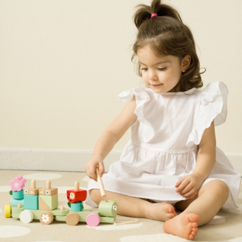Montessori medinis traukinukas vaikams "Gamta"