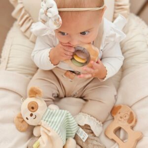 Tooky Toy žaislų rinkinys "Šuniukas"