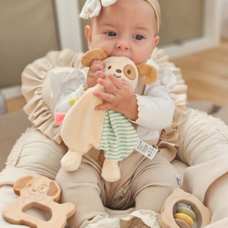 Tooky Toy žaislų rinkinys "Šuniukas"