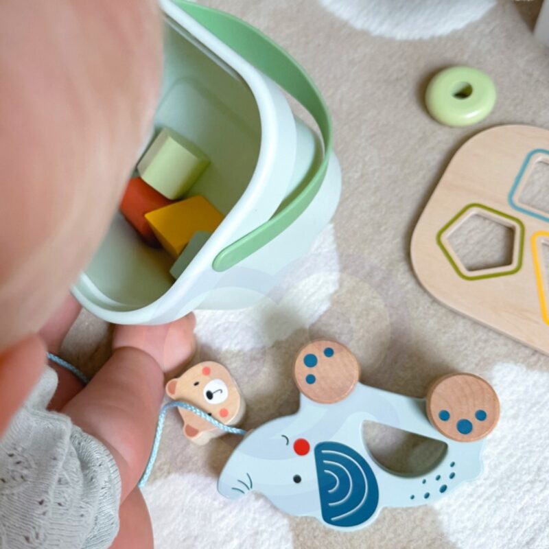 Medinių žaislų rinkinys vaikams su dėžute – Woopie Green