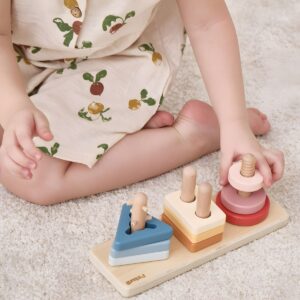 Edukacinių žaislų rinkinys vaikams nuo 2 metų – Viga PolarB