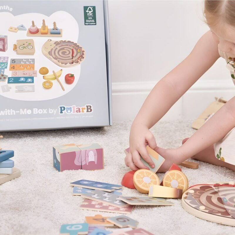 Edukacinių žaislų rinkinys vaikams nuo 2 metų – Viga PolarB