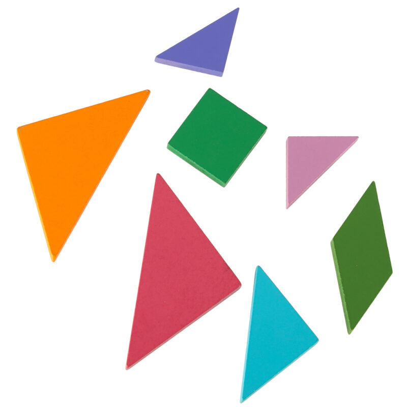 Montessori magnetinė dėlionių knyga „Tangram“ vaikams nuo 3 metų