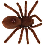 Nuotoliniu būdu valdomas voras "TARANTULA"