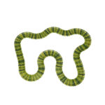 Lenktynių trasa "Dinozaurai" ( 240el.)