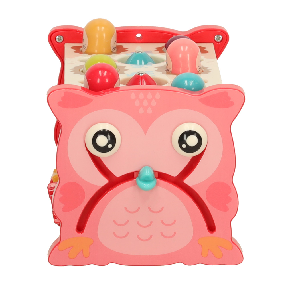 Interaktyvus veiklos žaislas  Interaktyvus veiklos žaislas