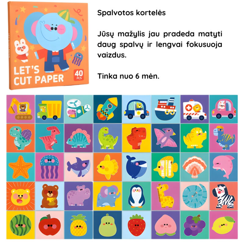 Spalvotos vizualinės kortelės vaikams nuo 6 mėn.