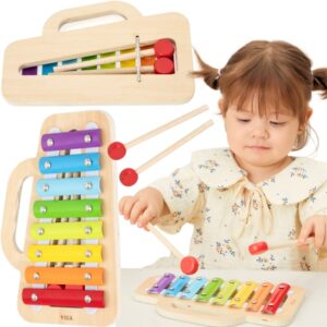 Medinis spalvotas ksilofonas su cimbolais