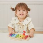 Medinis spalvotas ksilofonas su cimbolais