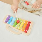 Medinis spalvotas ksilofonas su cimbolais