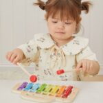 Medinis spalvotas ksilofonas su cimbolais