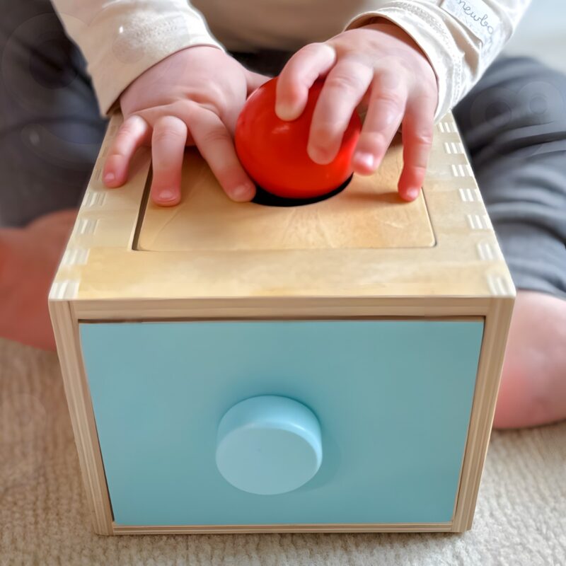 Montessori medinis rūšiavimo stalčius 4in1 vaikams
