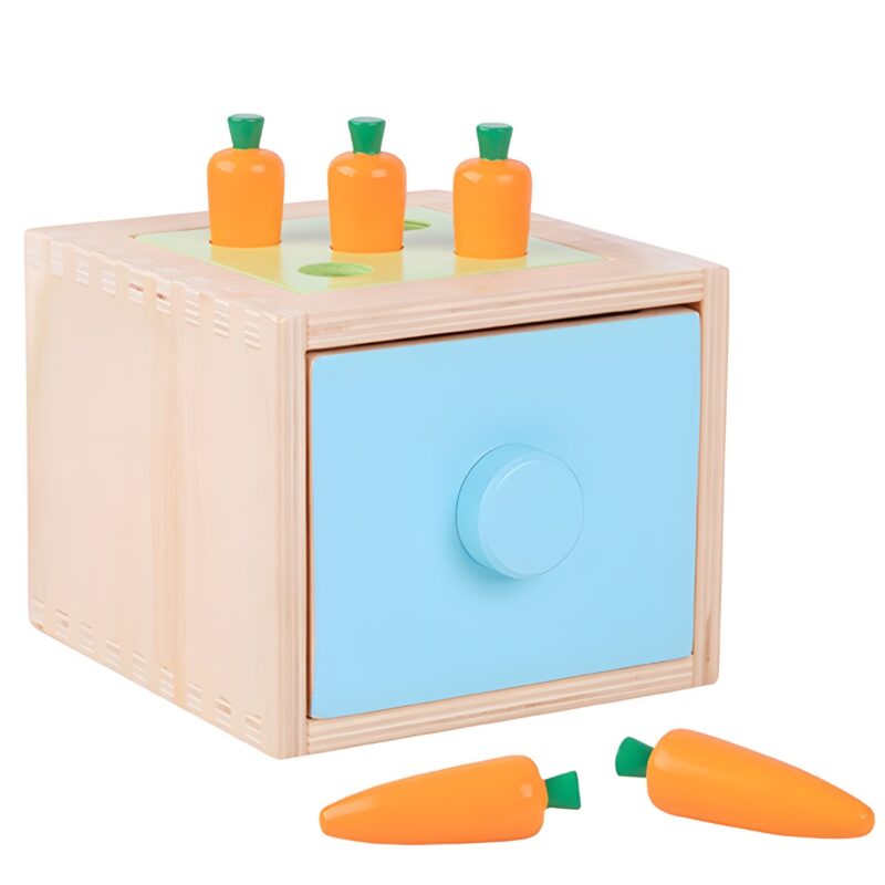 Montessori medinis rūšiavimo stalčius 4in1 vaikams