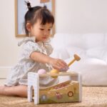 Medinis mušamasis žaislas su ksilofonu 2in1