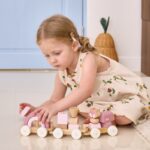 Medinis traukinukas su kaladėlėmis (17 det.), rožinis