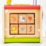 Medinis veiklos kubas - rūšiuotojas "Vasara"