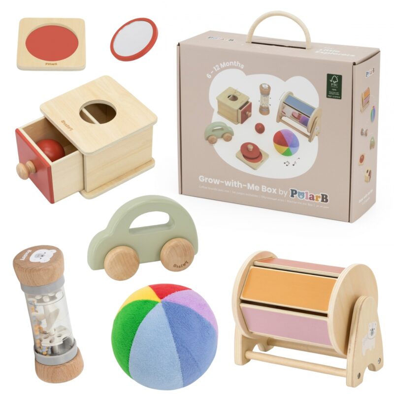 VIGA edukacinių žaislų rinkinys 6in1 kūdikiams 6in1 kūdikiams