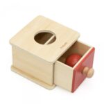 VIGA edukacinių žaislų rinkinys 6in1 kūdikiams 6in1 kūdikiams