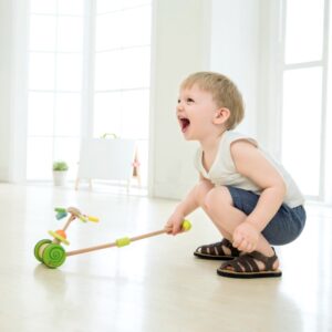 Medinis stumiamas žaislas nuo 12 mėn. – Classic World