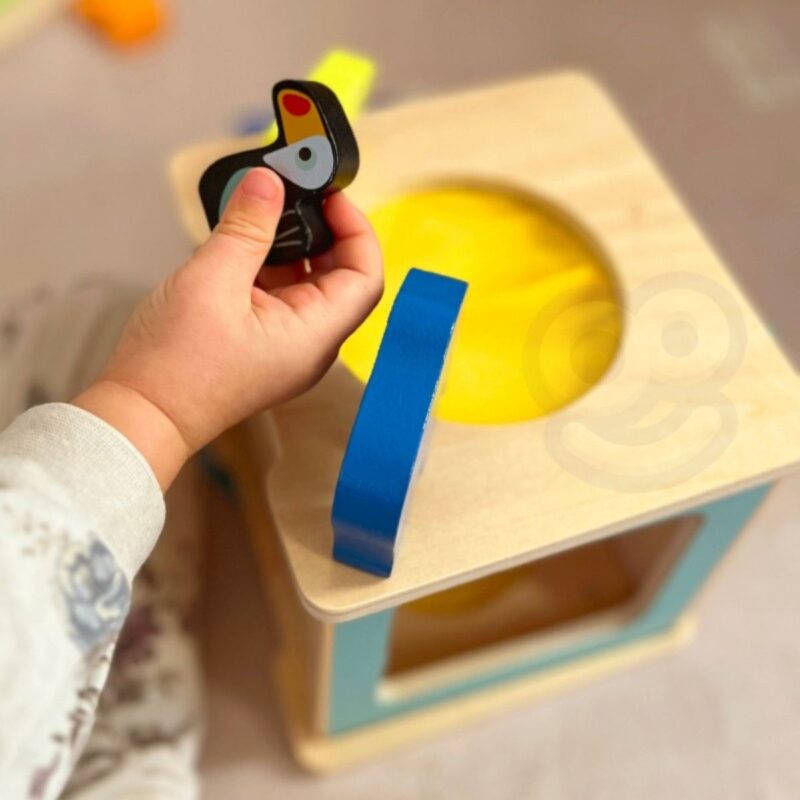 Medinis Montessori edukacinis rinkinys vaikams