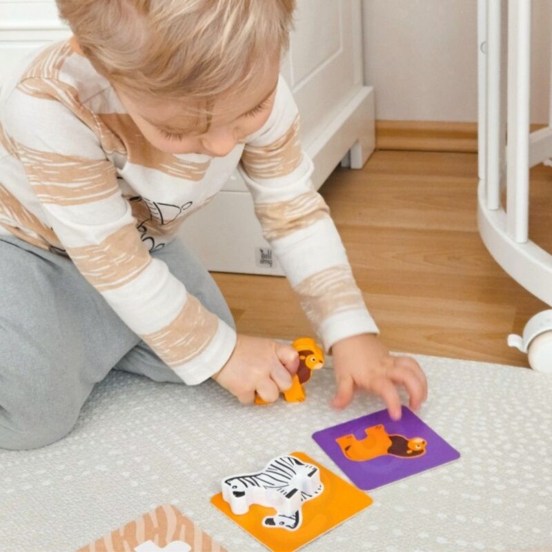 Medinis Montessori edukacinis rinkinys vaikams